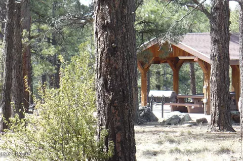 1663 Canyon View Loop #41, Williams, AZ 86046 photo 41