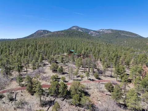 1663 Canyon View Loop #41, Williams, AZ 86046 photo 22