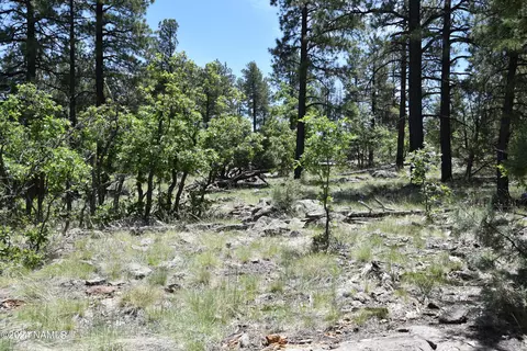 1663 Canyon View Loop #41, Williams, AZ 86046 photo 8