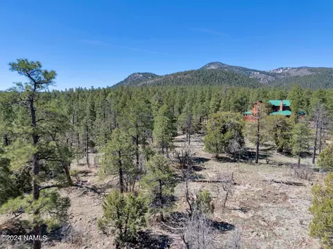 1663 Canyon View Loop #41, Williams, AZ 86046 photo 28