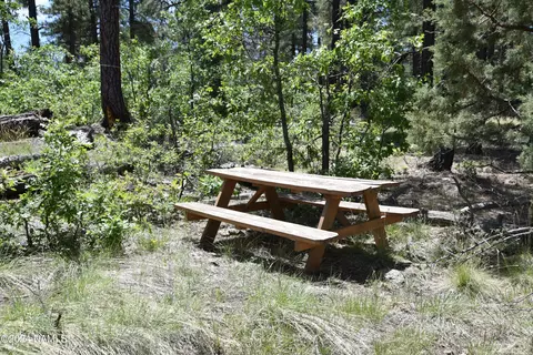 1663 Canyon View Loop #41, Williams, AZ 86046 photo 5