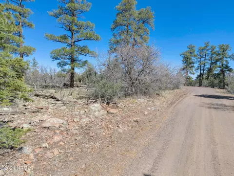 1663 Canyon View Loop #41, Williams, AZ 86046 photo 23