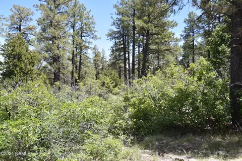 1663 Canyon View Loop #41, Williams, AZ 86046 photo 9