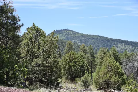 1663 Canyon View Loop #41, Williams, AZ 86046 photo 6