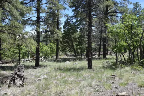 1663 Canyon View Loop #41, Williams, AZ 86046 photo 4