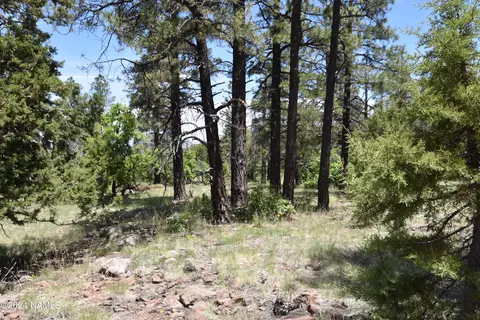 1663 Canyon View Loop #41, Williams, AZ 86046 photo 7