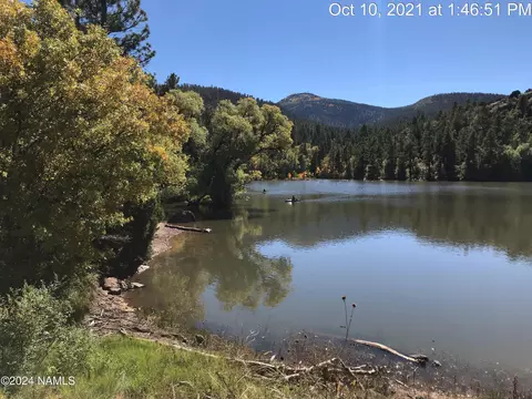 1663 Canyon View Loop #41, Williams, AZ 86046 photo 42