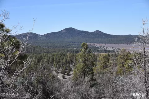 1663 Canyon View Loop #41, Williams, AZ 86046