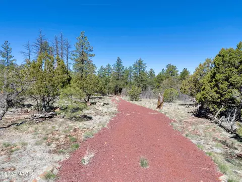 1663 Canyon View Loop #41, Williams, AZ 86046 photo 24