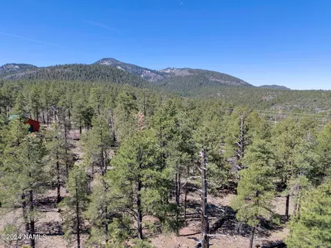 1663 Canyon View Loop #41, Williams, AZ 86046 photo 29