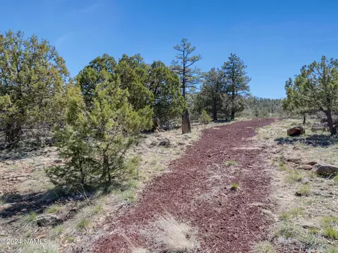 1663 Canyon View Loop #41, Williams, AZ 86046 photo 26
