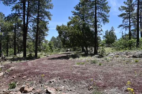 1663 Canyon View Loop #41, Williams, AZ 86046 photo 11