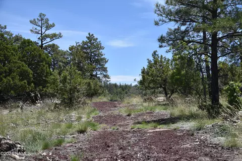 1663 Canyon View Loop #41, Williams, AZ 86046 photo 14