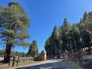 1663 Canyon View Loop #41, Williams, AZ 86046 photo 2