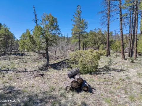 1663 Canyon View Loop #41, Williams, AZ 86046 photo 25