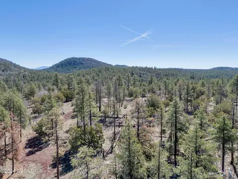 1663 Canyon View Loop #41, Williams, AZ 86046 photo 30