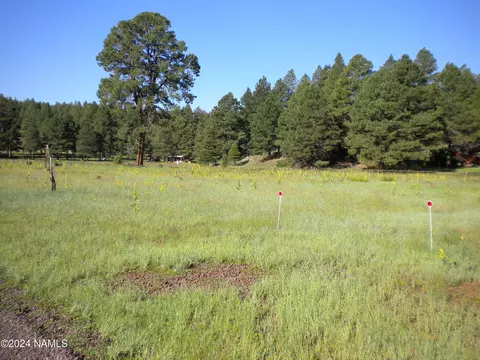6090 Big Game Trl #18, Flagstaff, AZ 86005