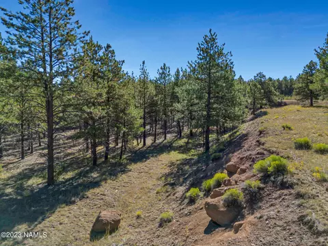 4 N Pine Springs Rd, Williams, AZ 86046
