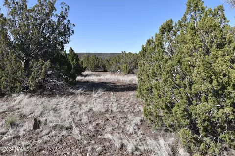 1480 E Kruger Long Rd #552, Williams, AZ 86046
