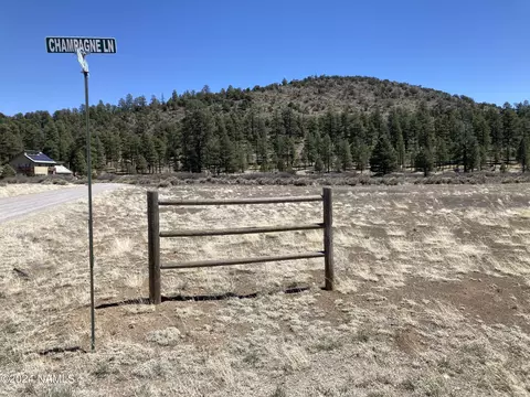 9221 N Champagne Ln, Flagstaff, AZ 86004