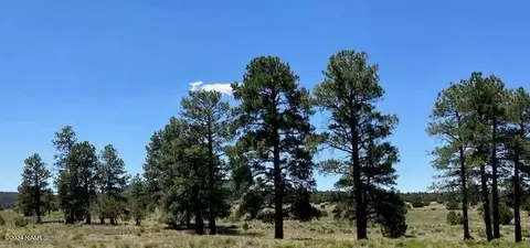 5303 N Red Mountain Rd, Williams, AZ 86046