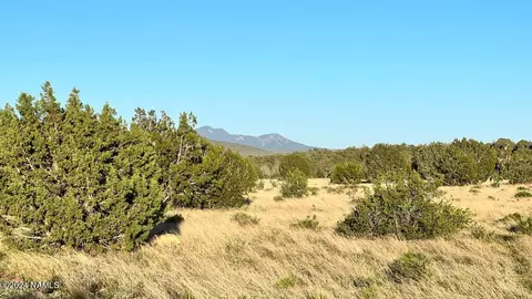 0 Terry Ln, Ash Fork, AZ 86320 photo 7