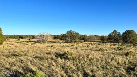 0 Terry Ln, Ash Fork, AZ 86320 photo 8