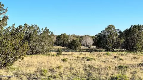 0 Terry Ln, Ash Fork, AZ 86320 photo 5