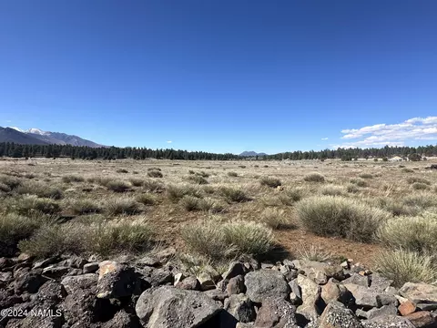 6830 N Rain Valley Rd, Flagstaff, AZ 86004 photo 3