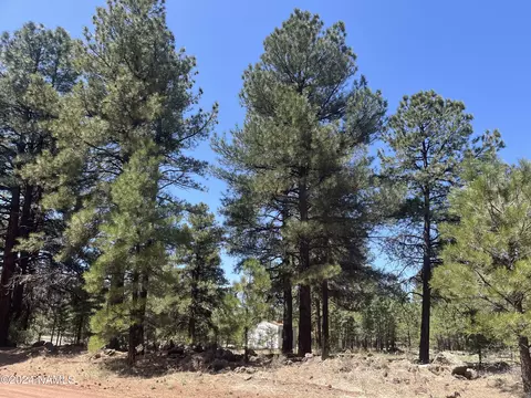138 S Kaibab Ave #33, Parks, AZ 86018