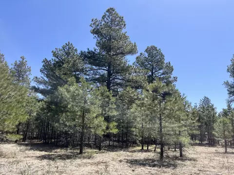 138 S Kaibab Ave #34, Parks, AZ 86018