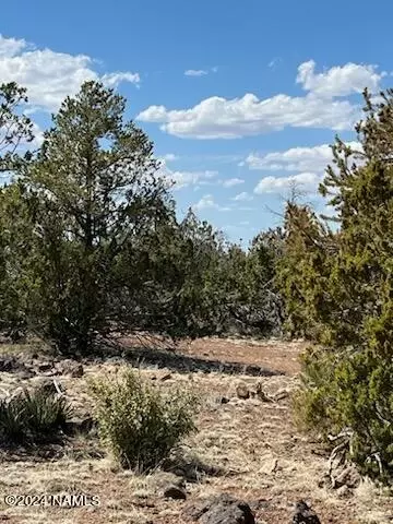 976 E Bighorn Trl #14, Williams, AZ 86046