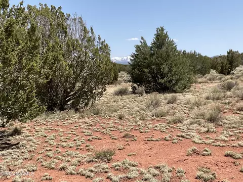 4368 E Parkway Dr #487, Valle, AZ 86046