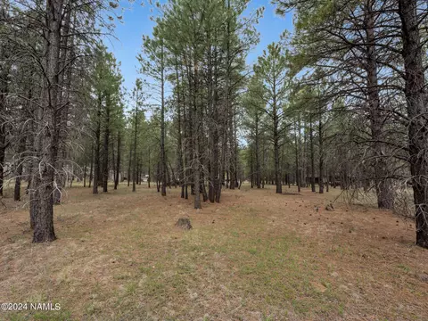 3536 E Pine Cone Dr #41, Williams, AZ 86046