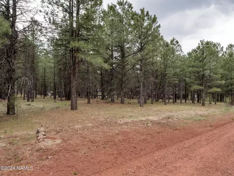 3536 E Pine Cone Dr #41, Williams, AZ 86046 photo 5