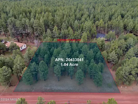 3536 E Pine Cone Dr #41, Williams, AZ 86046 photo 4