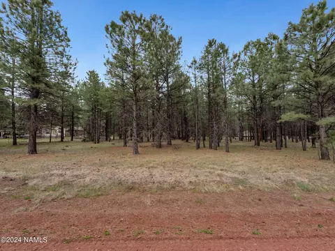 3536 E Pine Cone Dr #41, Williams, AZ 86046 photo 2
