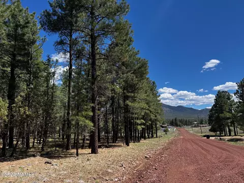 256 N Stoneman Blvd #5, Williams, AZ 86046