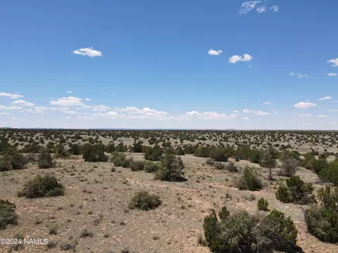 12688 Pipecreek Loop, Williams, AZ 86046 photo 41