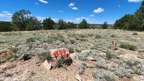 12688 Pipecreek Loop, Williams, AZ 86046 photo 2