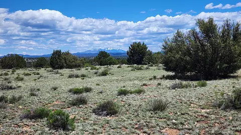 12688 Pipecreek Loop, Williams, AZ 86046 photo 4
