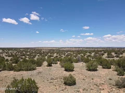 12688 Pipecreek Loop, Williams, AZ 86046 photo 42