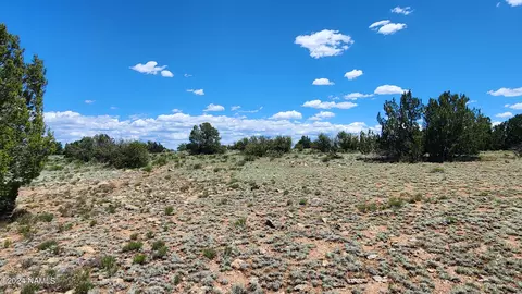 12688 Pipecreek Loop, Williams, AZ 86046 photo 18
