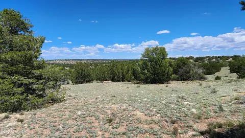 12688 Pipecreek Loop, Williams, AZ 86046 photo 19