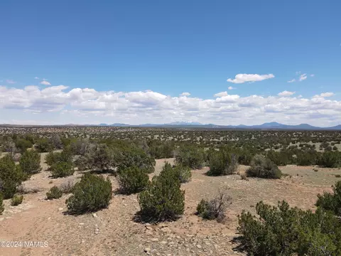 12688 Pipecreek Loop, Williams, AZ 86046 photo 35