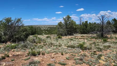 12688 Pipecreek Loop, Williams, AZ 86046 photo 11