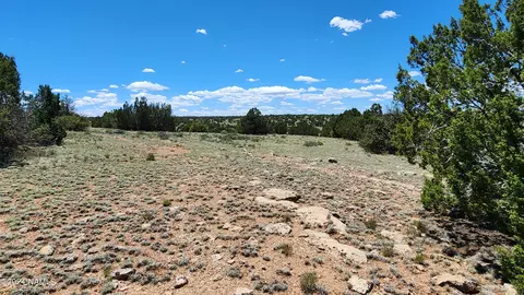 12688 Pipecreek Loop, Williams, AZ 86046 photo 21