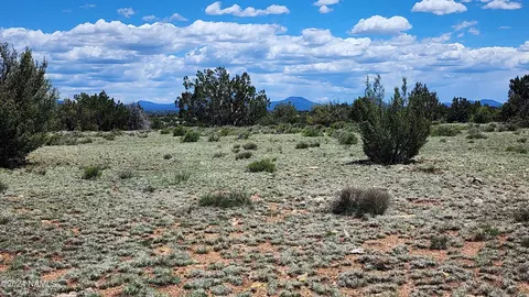 12688 Pipecreek Loop, Williams, AZ 86046 photo 5