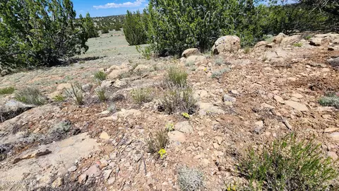 12688 Pipecreek Loop, Williams, AZ 86046 photo 23