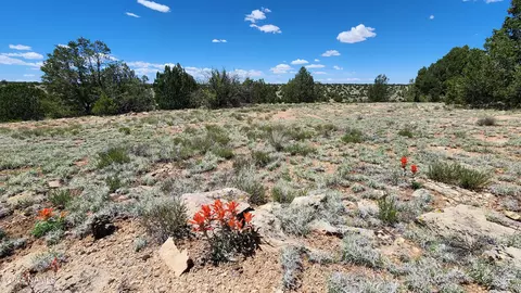 12688 Pipecreek Loop, Williams, AZ 86046 photo 14